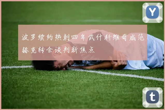 波罗续约热刺四年武什科维奇成范赫克转会谈判新焦点